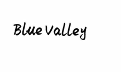 BLUE VALLEY Logo (USPTO, 22.06.2020)