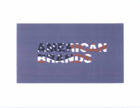 AMERICAN BRANDS Logo (USPTO, 02/12/2009)