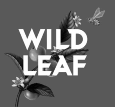 WILD LEAF Logo (USPTO, 20.12.2018)