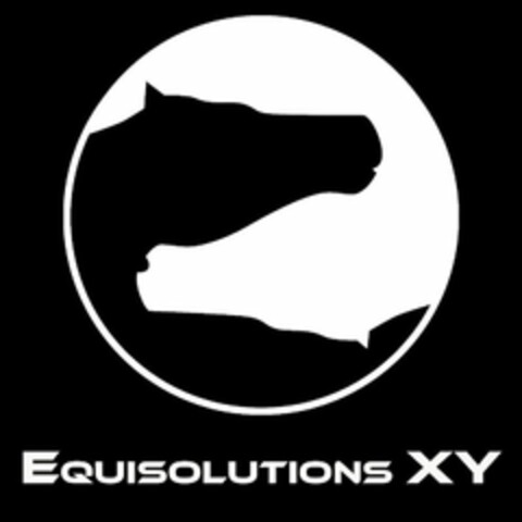 EQUISOLUTIONS XY Logo (USPTO, 04/09/2020)