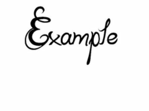 EXAMPLE Logo (USPTO, 08.10.2010)