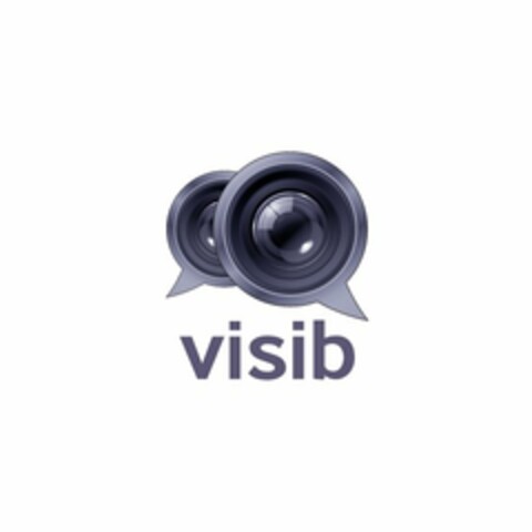 VISIB Logo (USPTO, 27.05.2011)