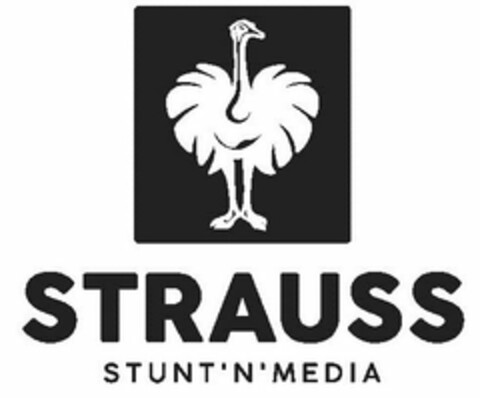 STRAUSS STUNT'N'MEDIA Logo (USPTO, 08/04/2016)