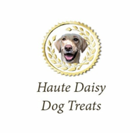 HAUTE DAISY DOG TREATS Logo (USPTO, 03/18/2019)