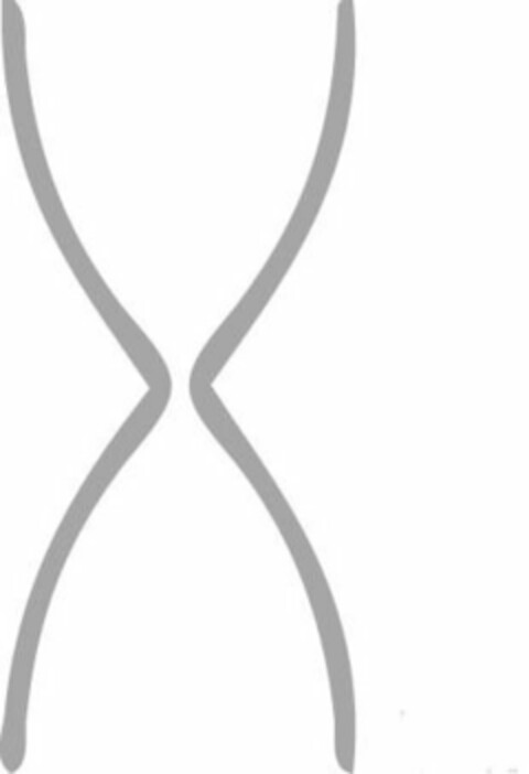 X Logo (USPTO, 18.07.2019)