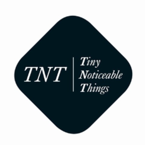 TNT | TINY NOTICEABLE THINGS Logo (USPTO, 01.10.2019)