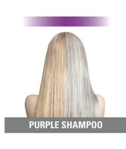 PURPLE SHAMPOO Logo (USPTO, 10/31/2019)