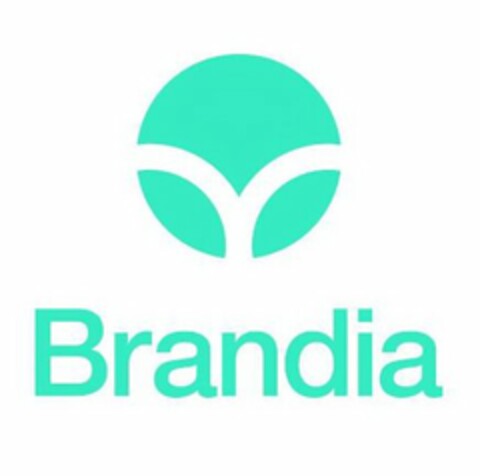 BRANDIA Logo (USPTO, 02/20/2020)