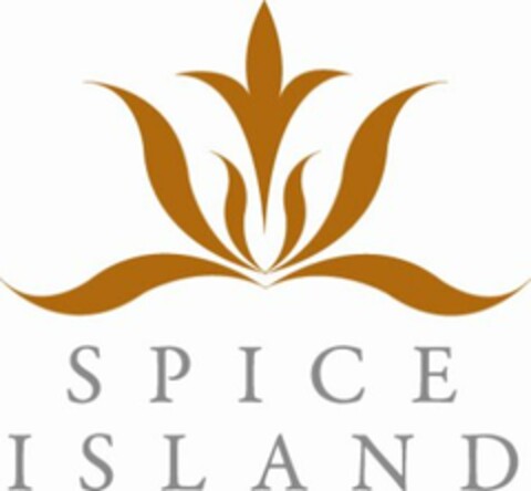 SPICE ISLAND Logo (USPTO, 03/19/2009)