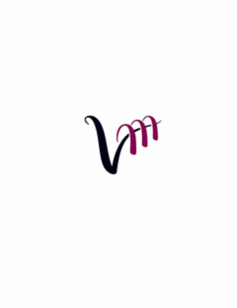 VM Logo (USPTO, 08/16/2012)