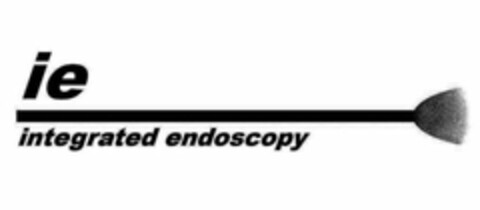 IE INTEGRATED ENDOSCOPY Logo (USPTO, 26.11.2013)