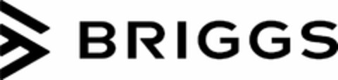 BRIGGS Logo (USPTO, 21.11.2017)