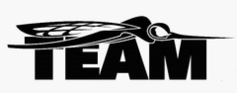 TEAM Logo (USPTO, 28.11.2017)