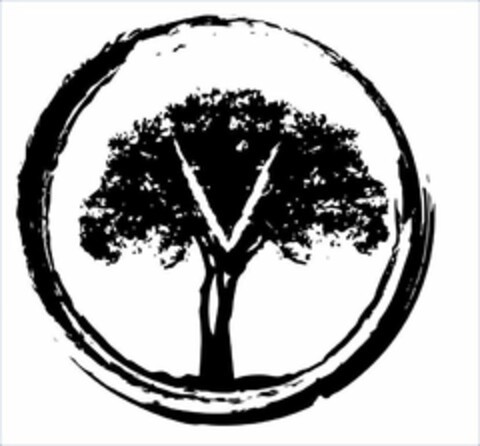 V Logo (USPTO, 06.03.2018)