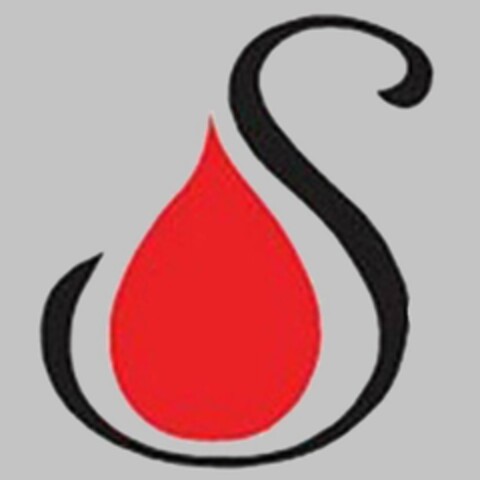 S Logo (USPTO, 14.07.2019)