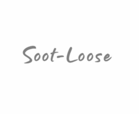 SOOT-LOOSE Logo (USPTO, 12/19/2019)