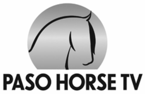 PASO HORSE TV Logo (USPTO, 05/18/2020)