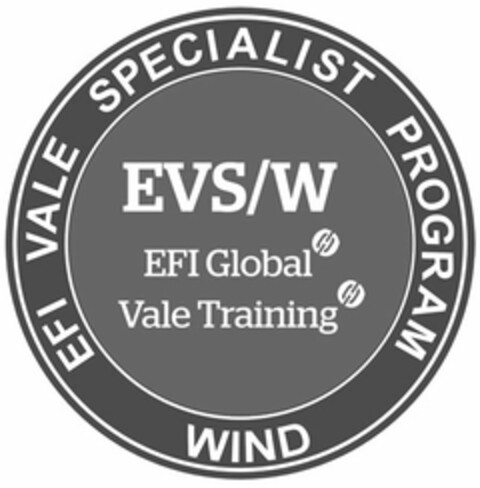 EFI VALE SPECIALIST PROGRAM WIND EVS/W EFI GLOBAL VALE TRAINING Logo (USPTO, 21.08.2016)