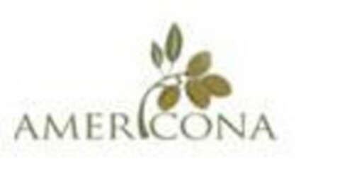 AMERICONA Logo (USPTO, 20.11.2017)