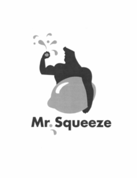 MR. SQUEEZE Logo (USPTO, 25.06.2018)