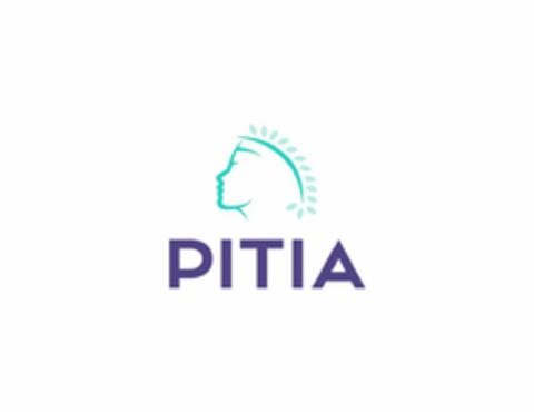 PITIA Logo (USPTO, 25.09.2019)