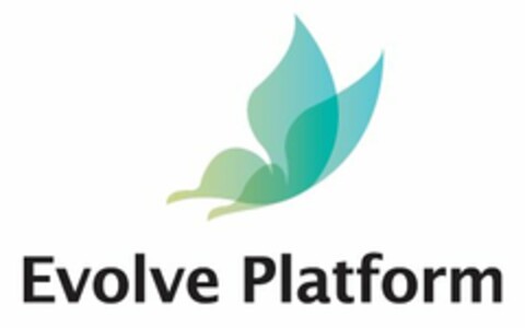 EVOLVE PLATFORM Logo (USPTO, 05.01.2011)