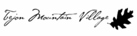 TEJON MOUNTAIN VILLAGE Logo (USPTO, 05/25/2012)