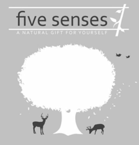 FIVE SENSES A NATURAL GIFT FOR YOURSELF Logo (USPTO, 12/27/2017)