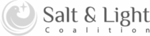 SALT & LIGHT COALITION Logo (USPTO, 23.07.2020)