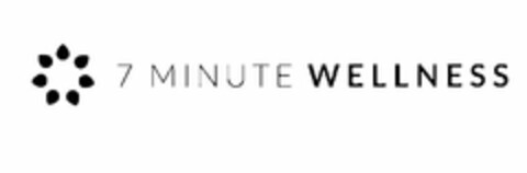 7 MINUTE WELLNESS Logo (USPTO, 06.08.2015)