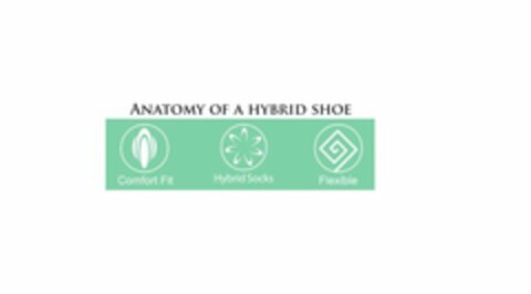 ANATOMY OF A HYBRID SHOE COMFORT FIT HYBRID SOCKS FLEXIBLE Logo (USPTO, 11.03.2016)