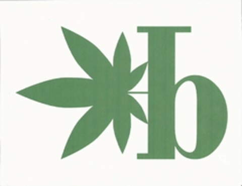 B Logo (USPTO, 15.07.2017)