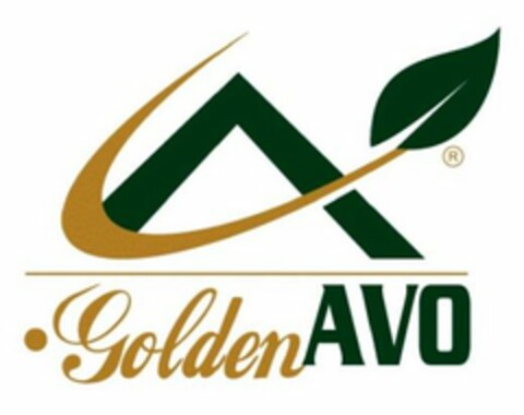 A GOLDENAVO Logo (USPTO, 29.10.2019)