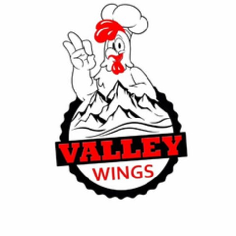 VALLEY WINGS Logo (USPTO, 14.02.2020)