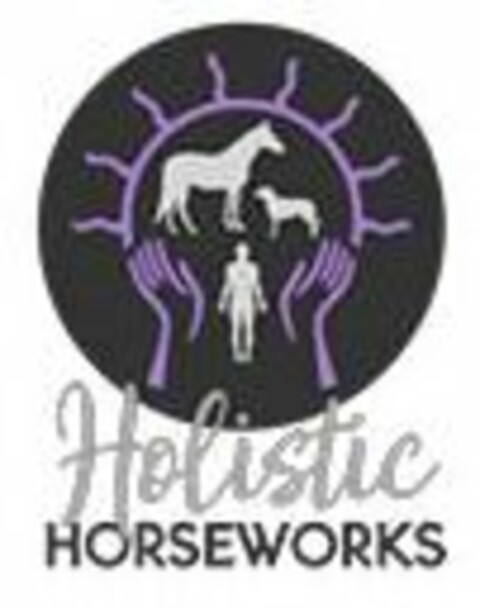 HOLISTIC HORSEWORKS Logo (USPTO, 09/12/2020)