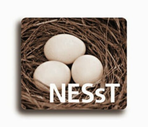 NESST Logo (USPTO, 29.06.2009)