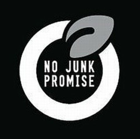 NO JUNK PROMISE Logo (USPTO, 13.08.2009)