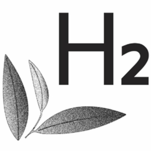 H2 Logo (USPTO, 01.10.2014)