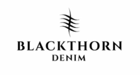 BLACKTHORN DENIM Logo (USPTO, 02/22/2019)