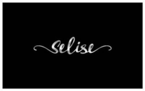 SELISE Logo (USPTO, 28.05.2019)