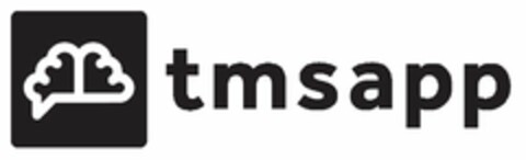 TMSAPP Logo (USPTO, 29.05.2019)