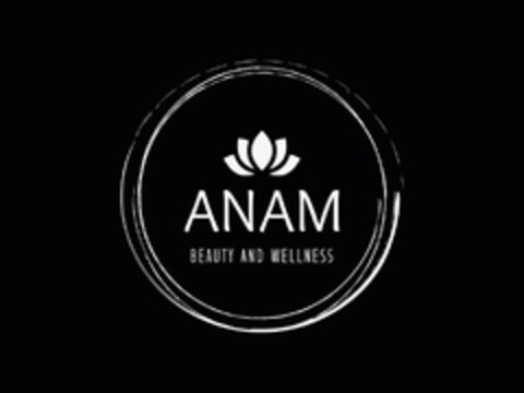 ANAM BEAUTY AND WELLNESS Logo (USPTO, 17.06.2019)