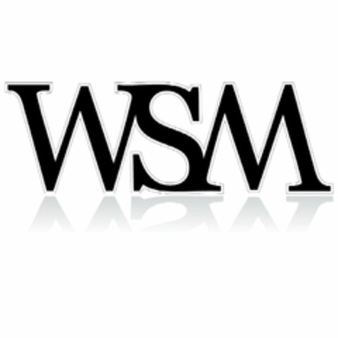 WSM Logo (USPTO, 28.08.2009)