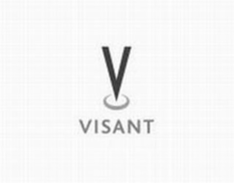 V VISANT Logo (USPTO, 22.02.2010)