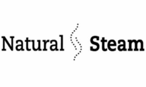 NATURAL STEAM Logo (USPTO, 31.03.2010)