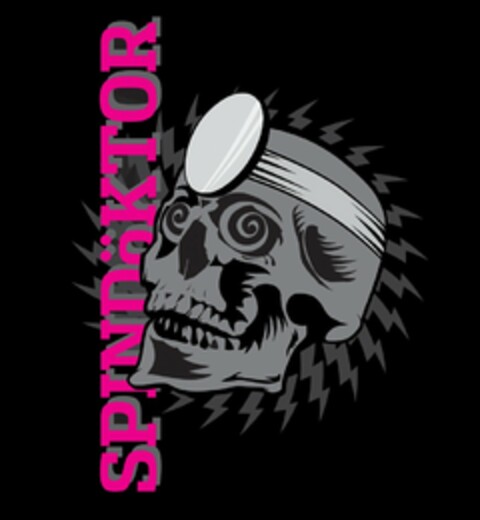 SPINDÖKTOR Logo (USPTO, 01/17/2013)