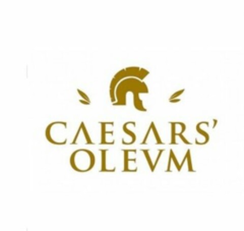 CAESARS' OLEVM Logo (USPTO, 02.03.2016)