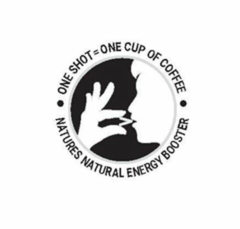 NATURES NATURAL ENERGY BOOSTER ONE SHOT= ONE CUP OF COFFEE Logo (USPTO, 20.12.2018)