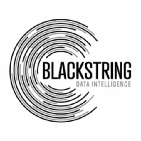 BLACKSTRING DATA INTELLIGENCE Logo (USPTO, 21.03.2019)