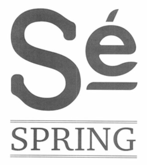 SE SPRING Logo (USPTO, 27.08.2019)